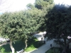 Vista sulla Villa Cavallotti